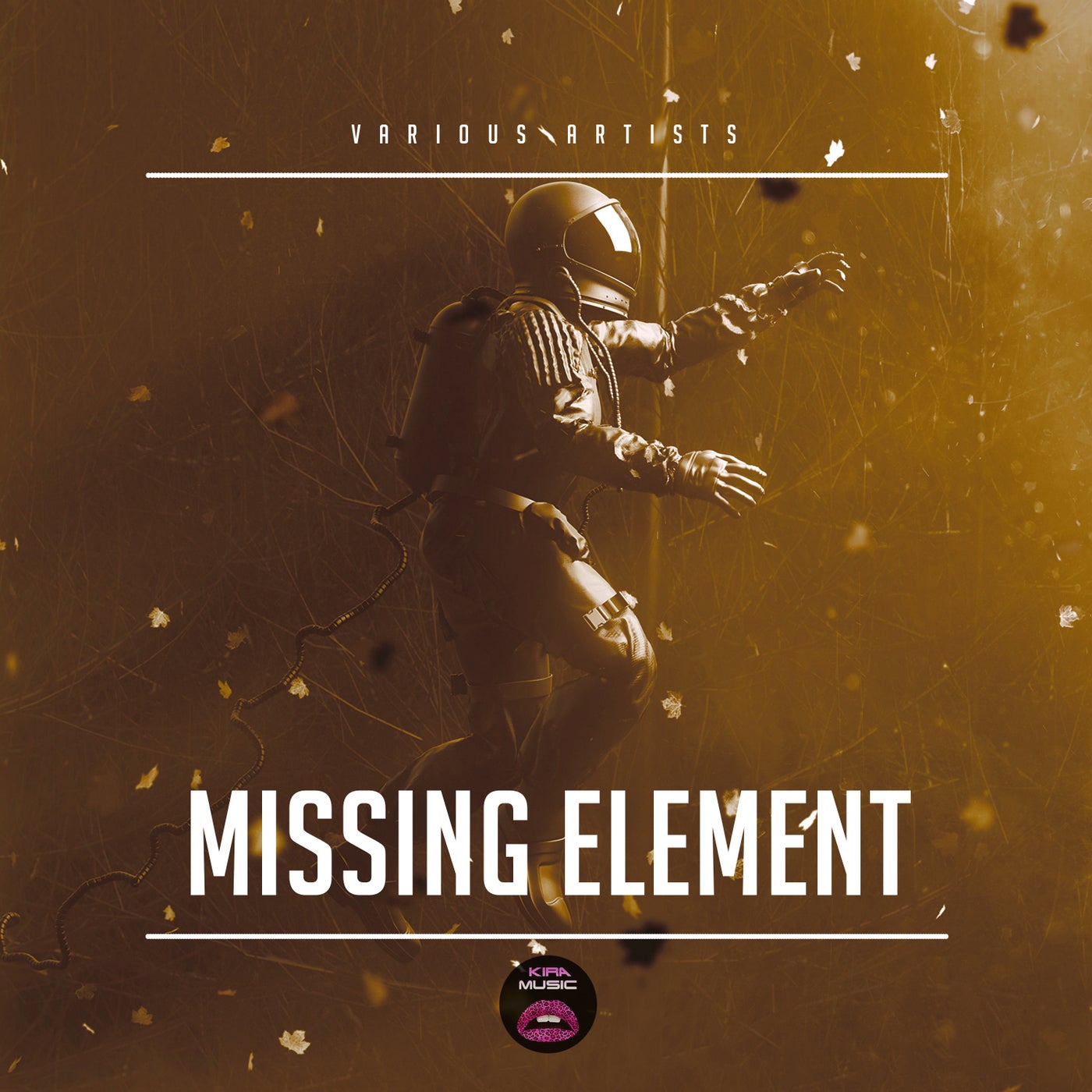 Missing Element