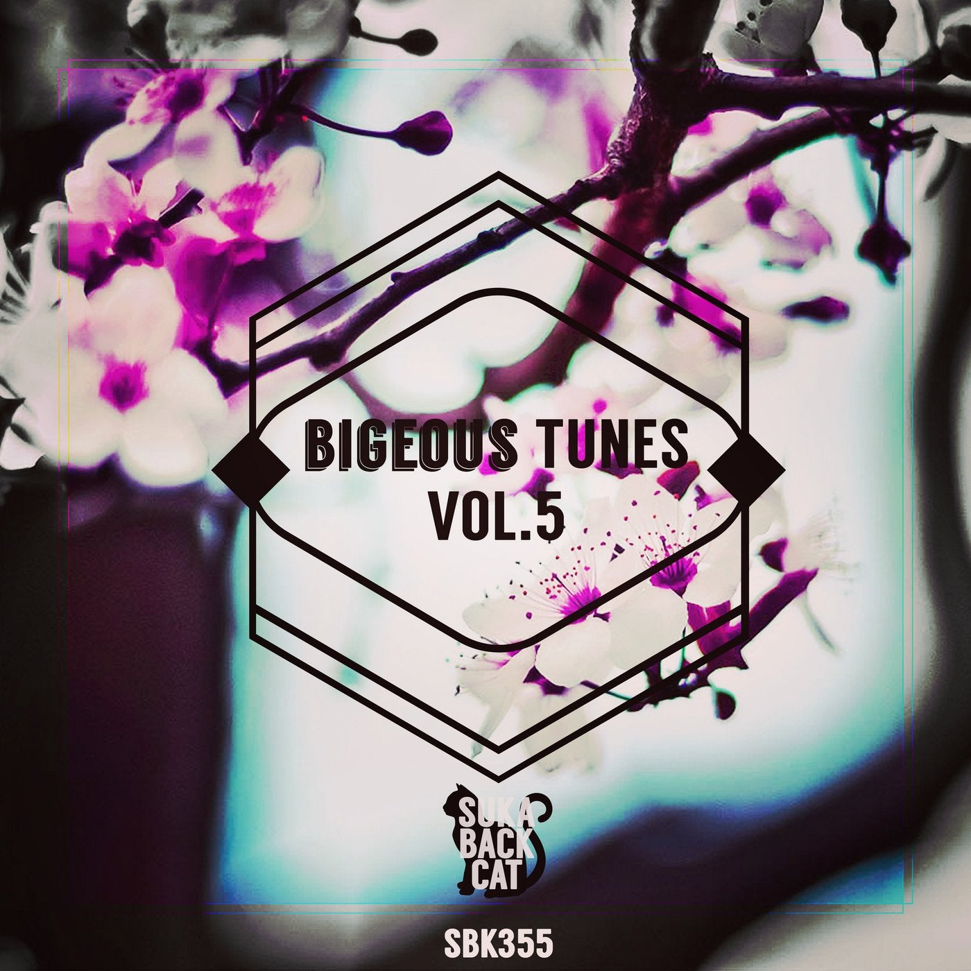 Bigeous Tunes, Vol. 5