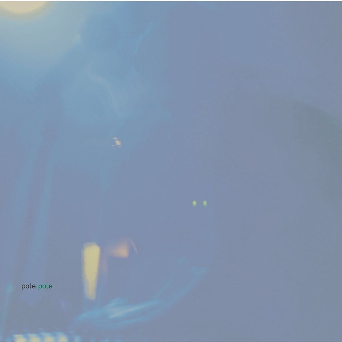 Pole - Bushes (There Is a Secret Behind) album artwork