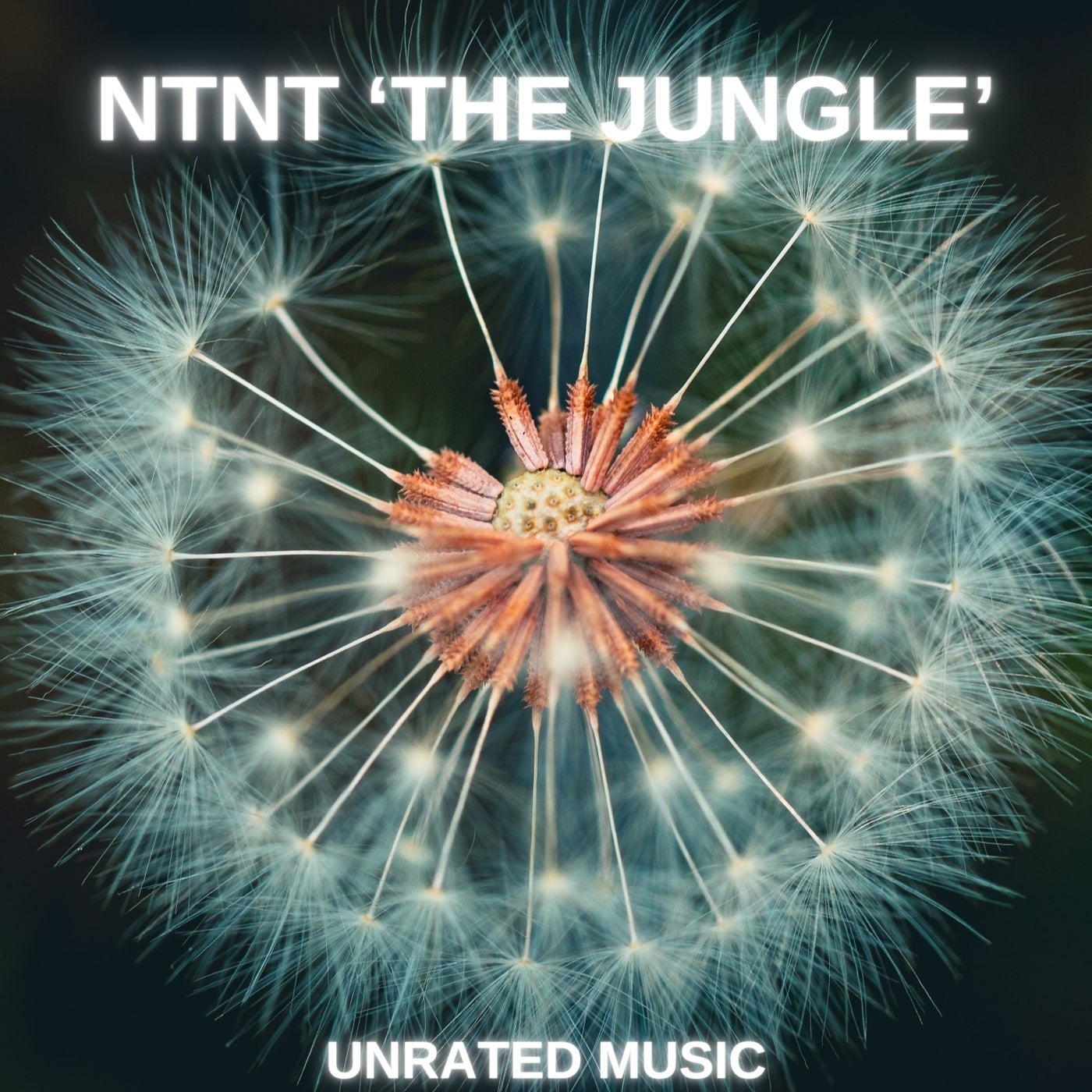 The Junle