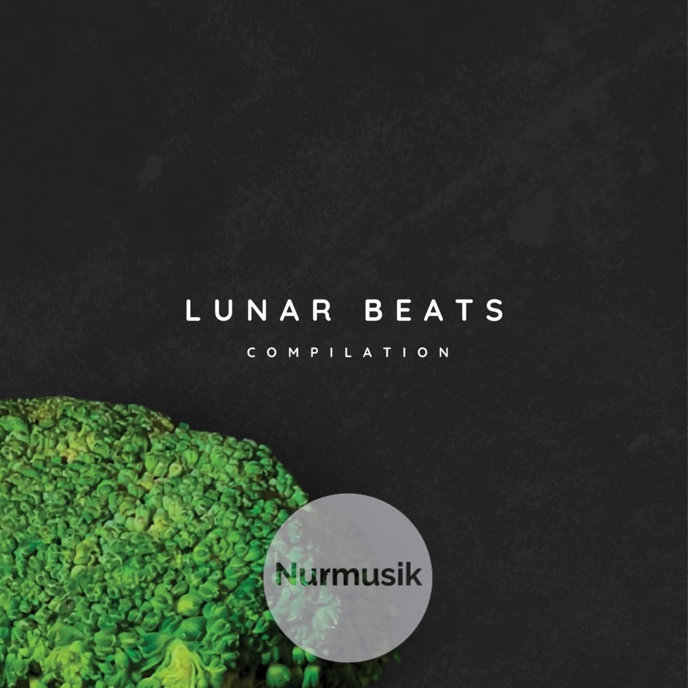 Lunar Beats