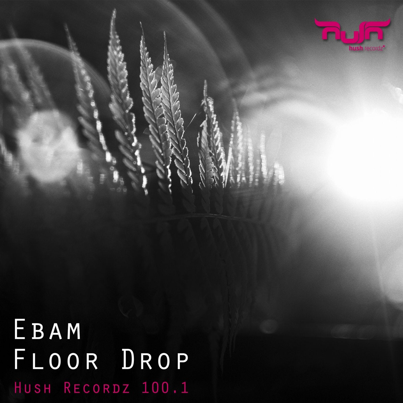 Floor Drop