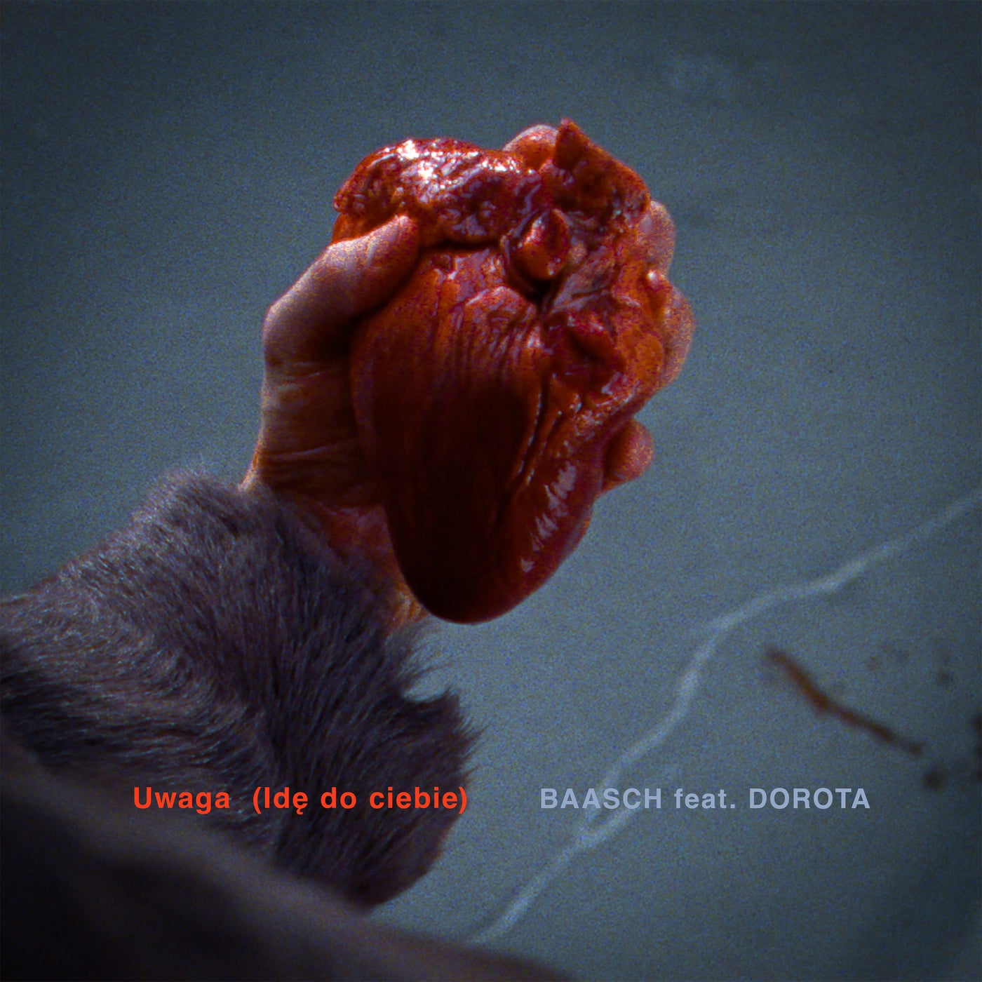 Uwaga (Ide do ciebie) feat. Dorota Maslowska
