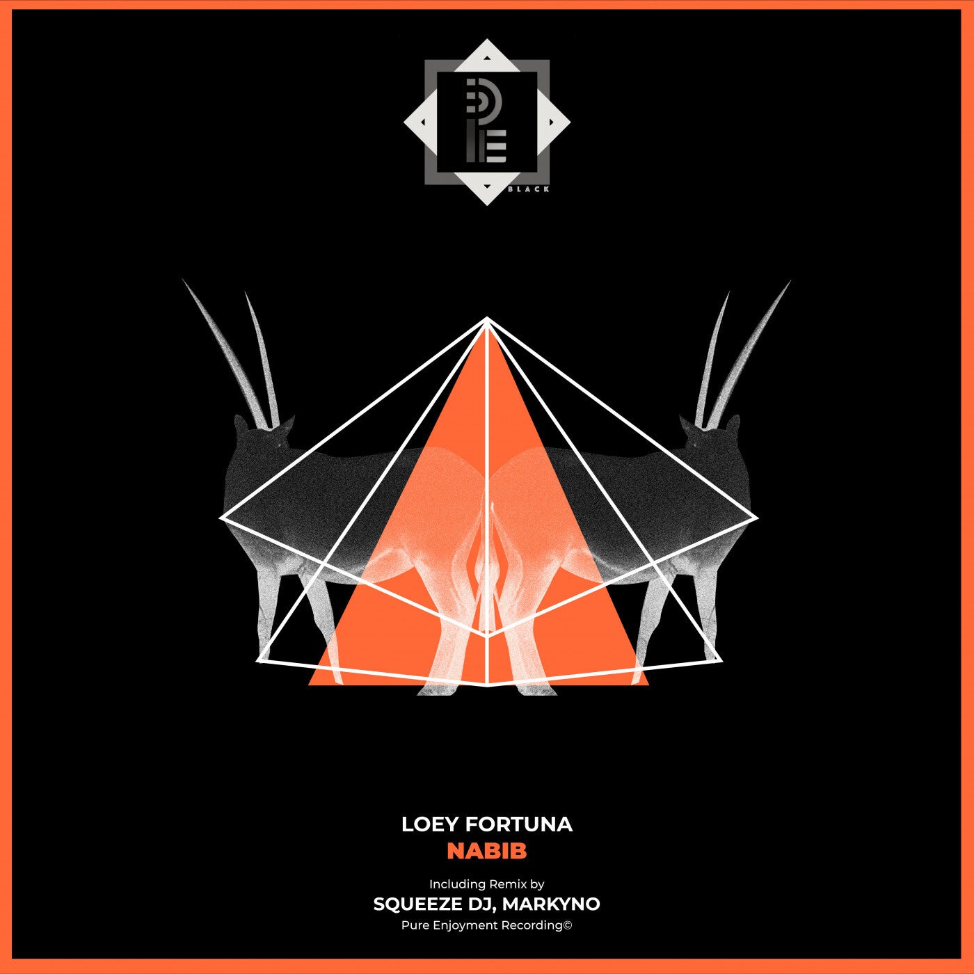 Nabib (incl. Squeeze Dj Remix, Markyno Remix)