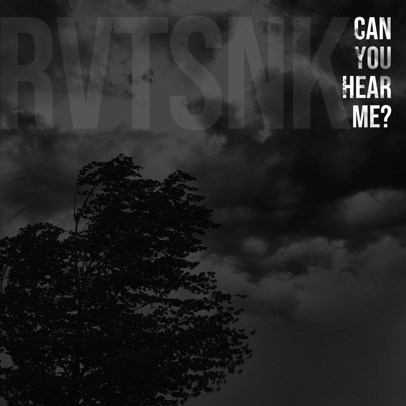 Can You Hear Me?