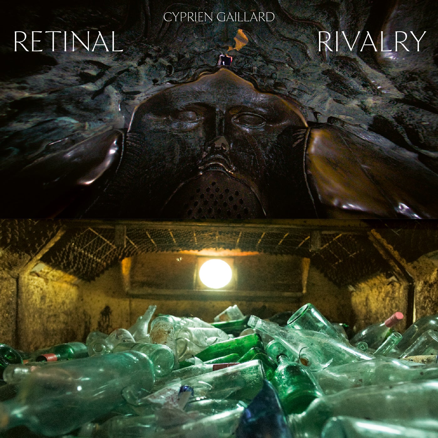 Retinal Rivalry