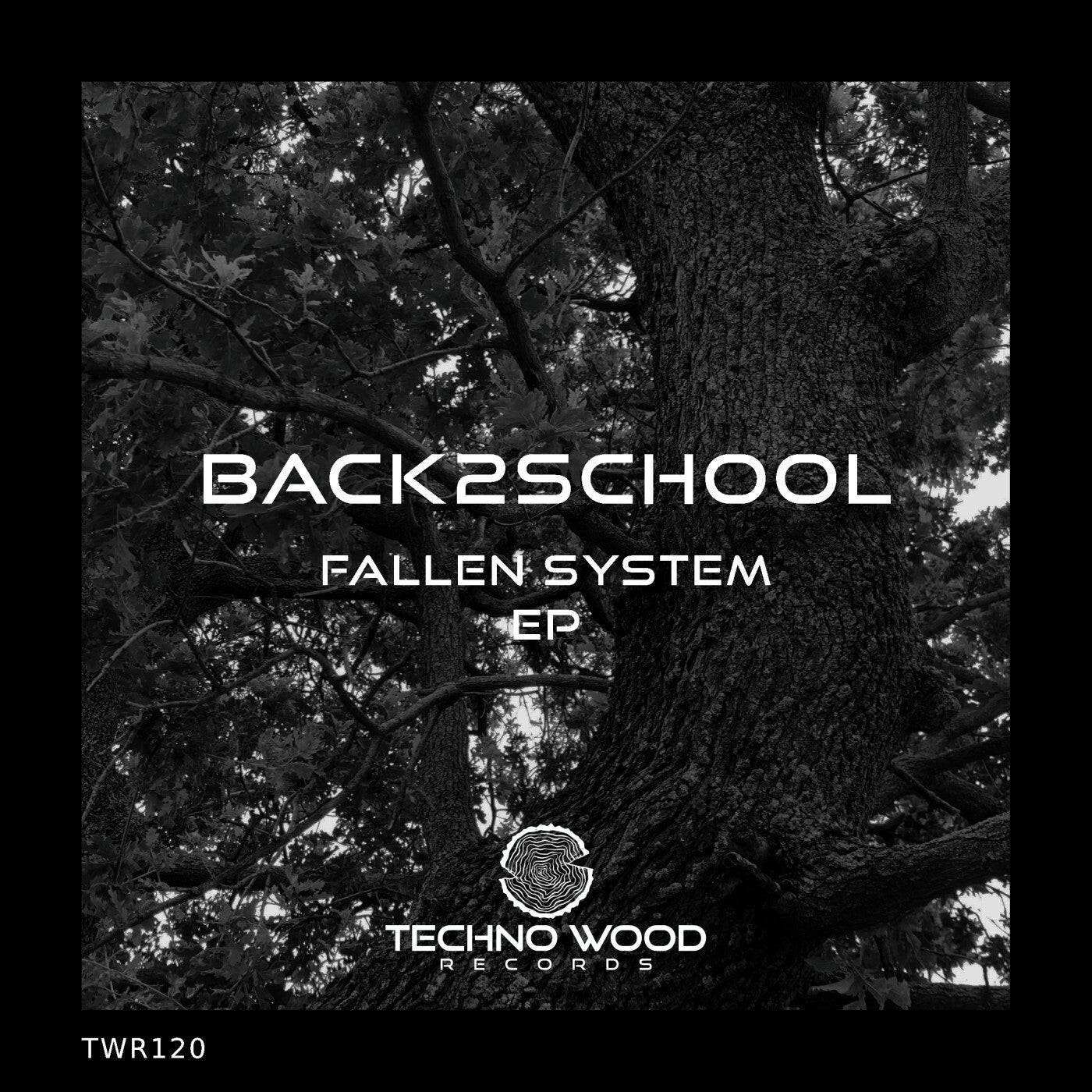 Fallen System EP