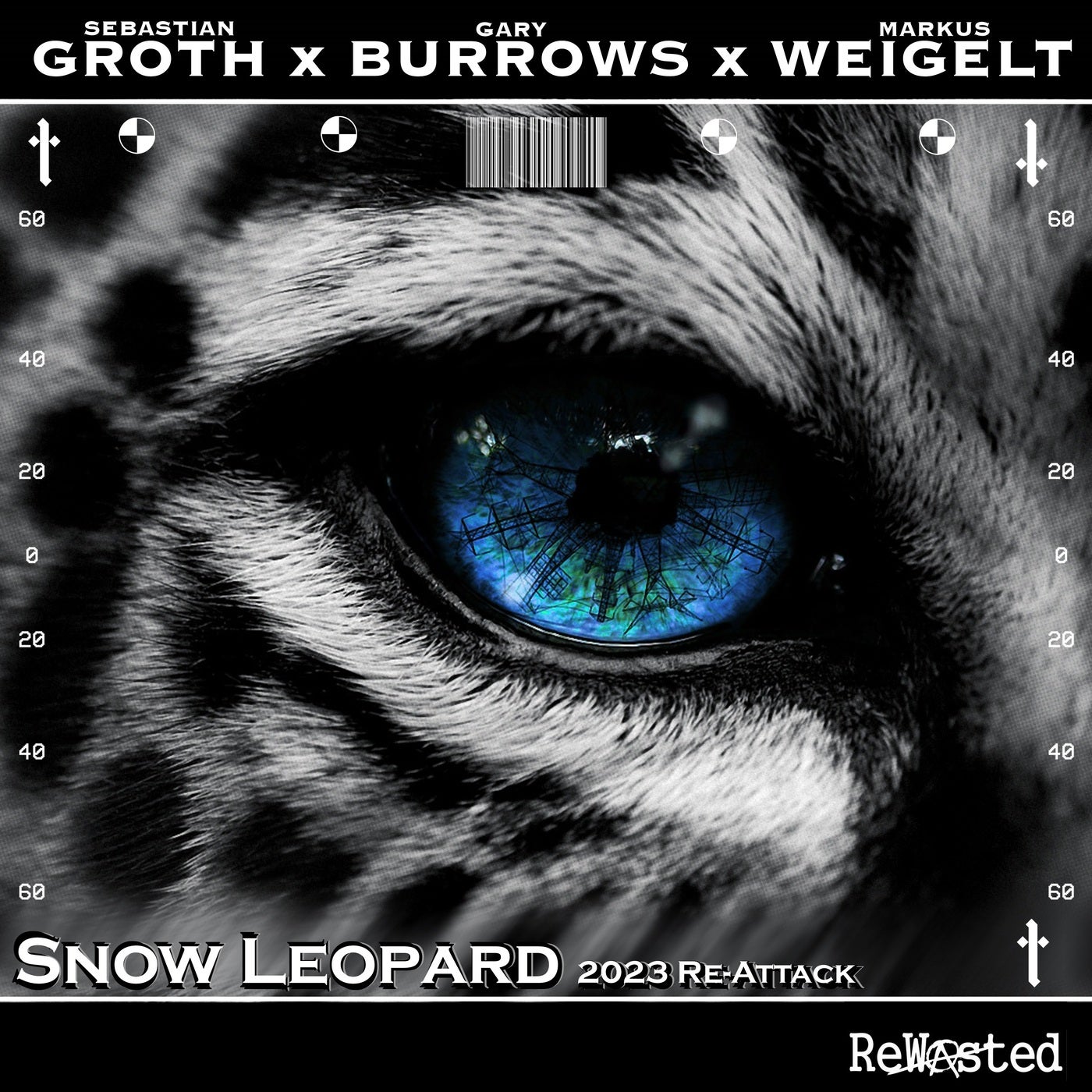 Snow Leopard - 2023 Re-Attack