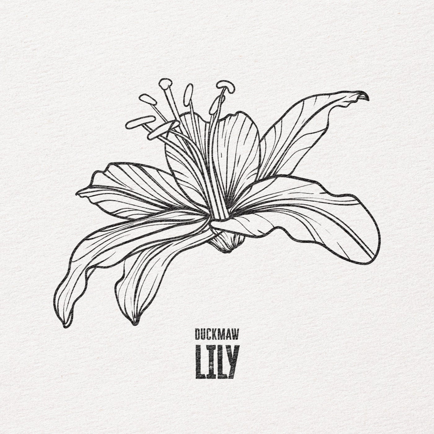 Lily