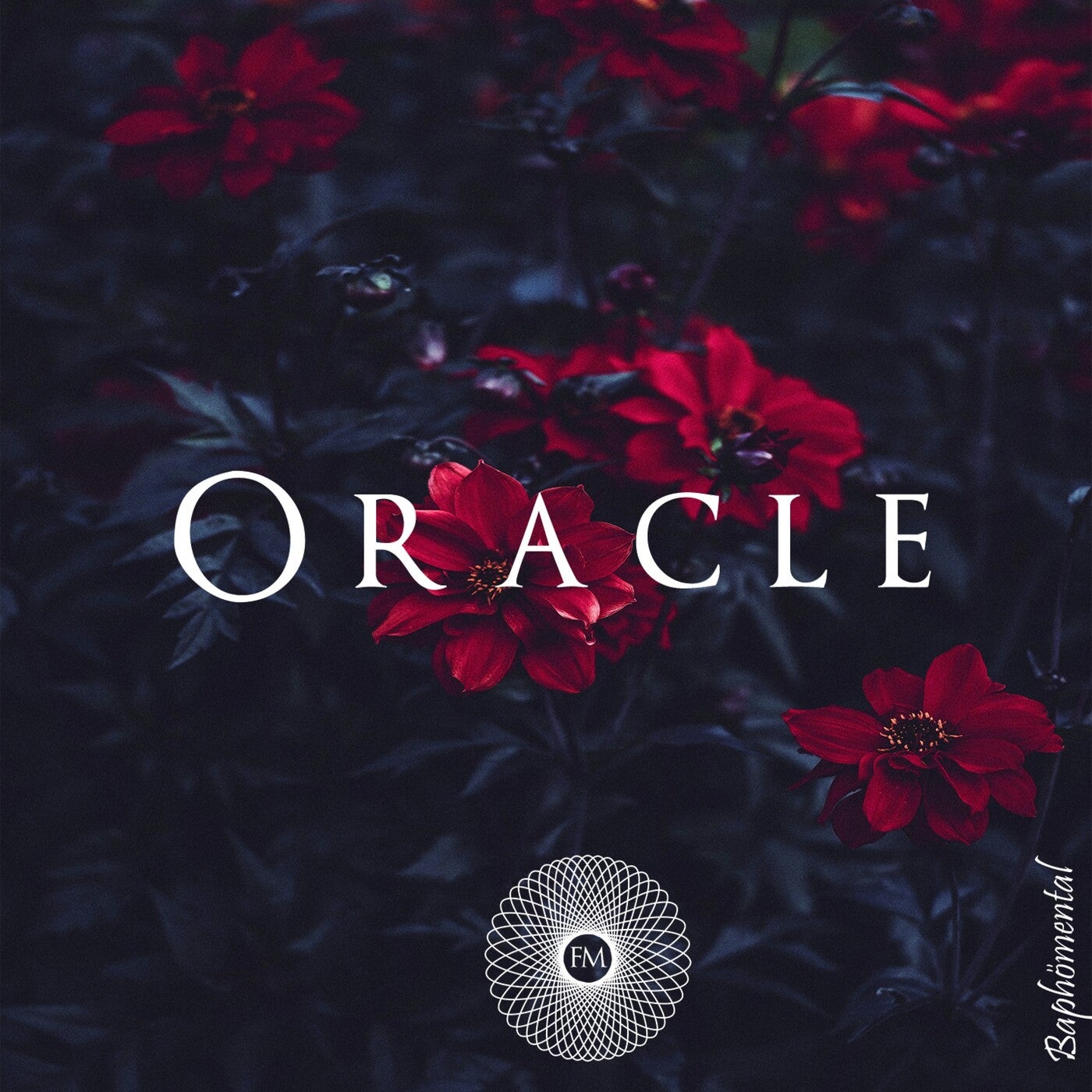 Oracle