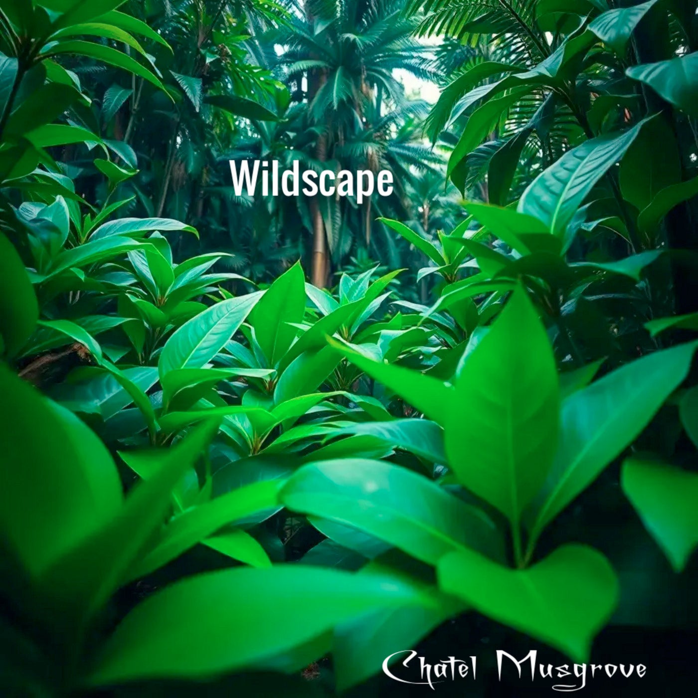 Wildscape