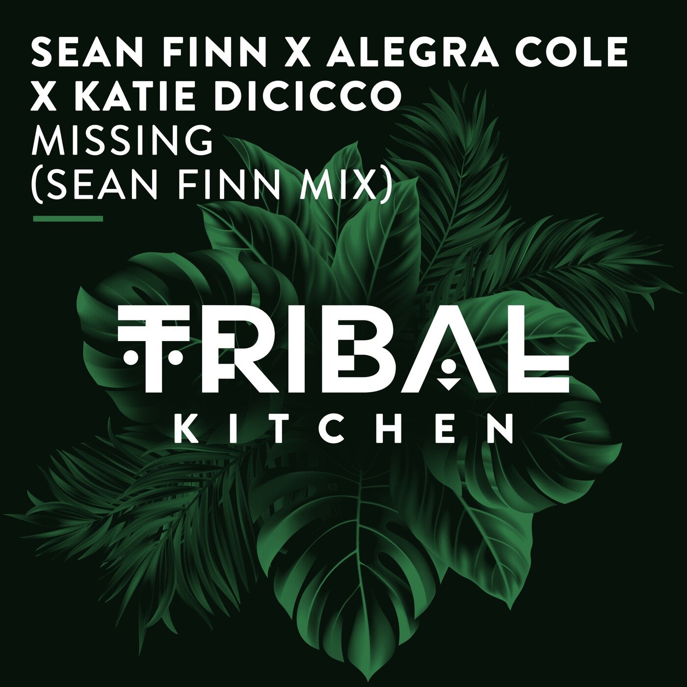 Missing (Sean Finn Mix)