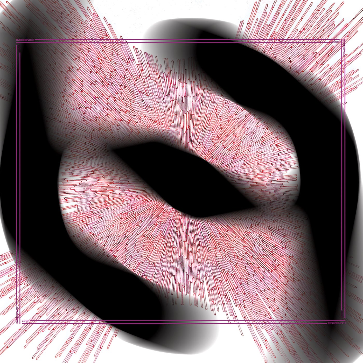 H007