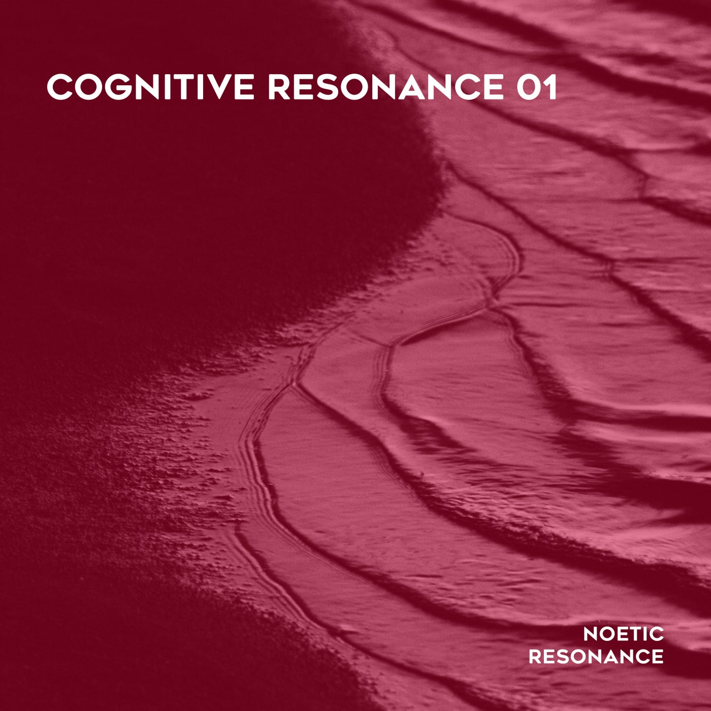 Cognitive Resonance 01