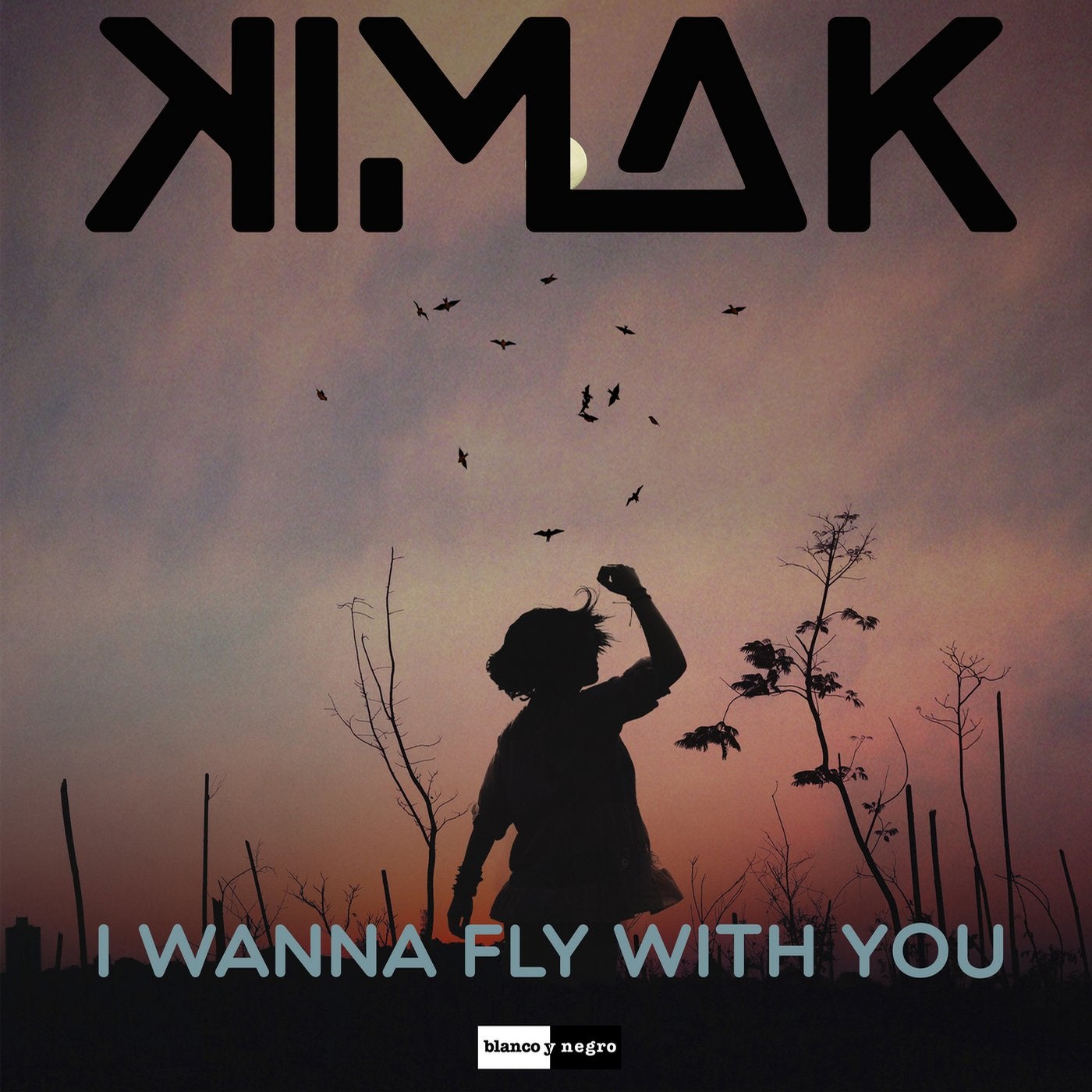 I Wanna Fly with You