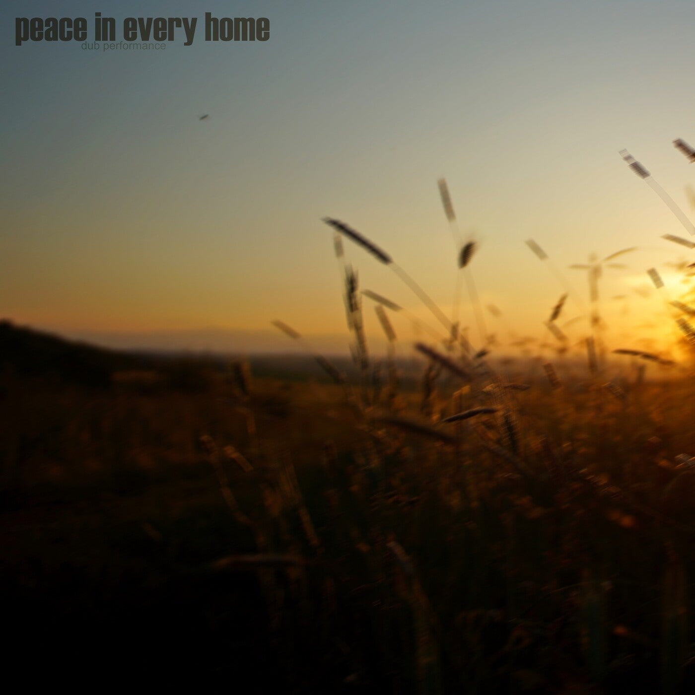 Peace in Every Home