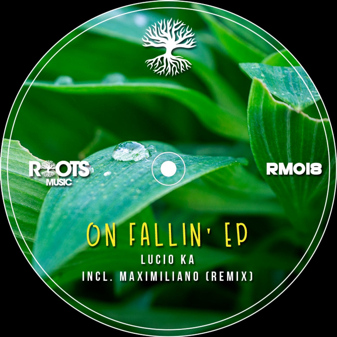 On Fallin' EP