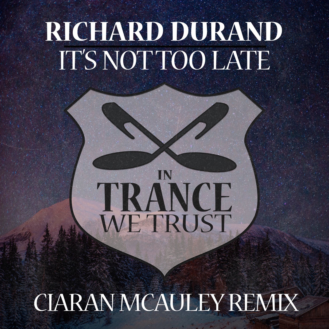 It's Not Too Late - Ciaran McAuley Remix