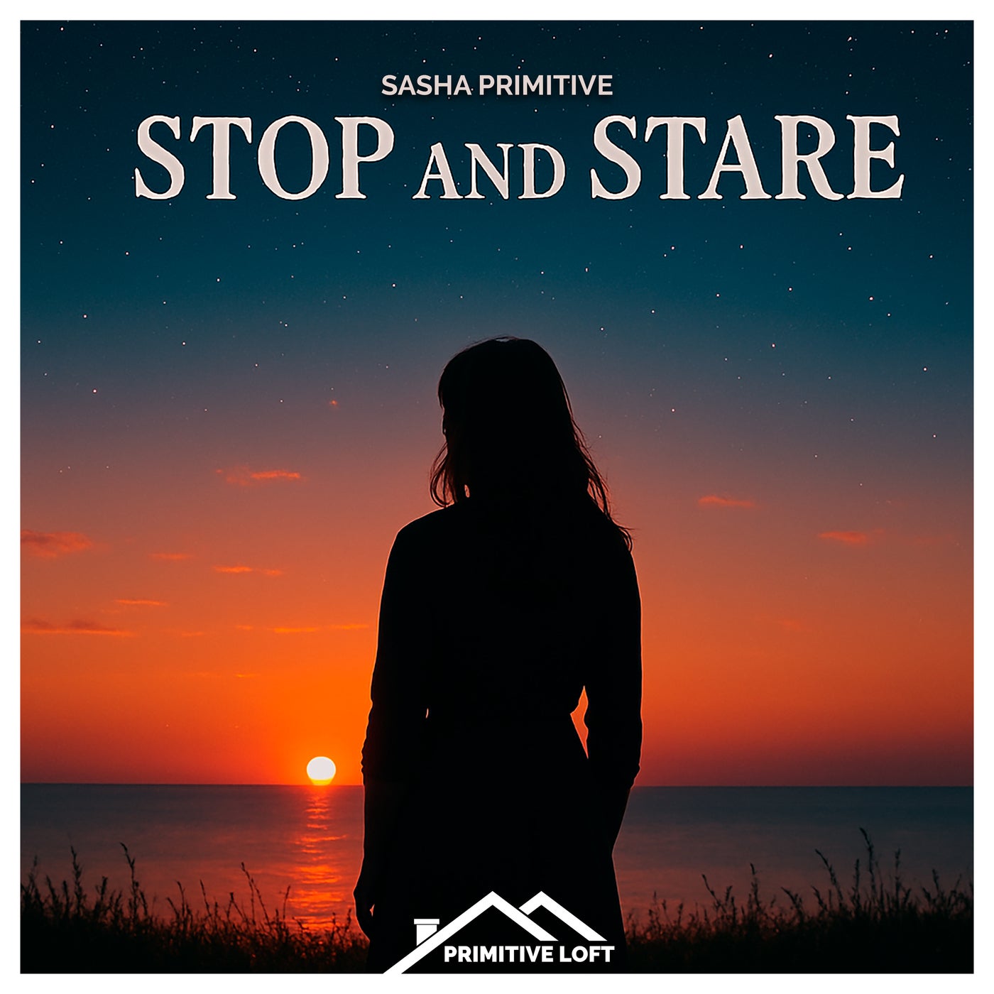 Stop and Stare