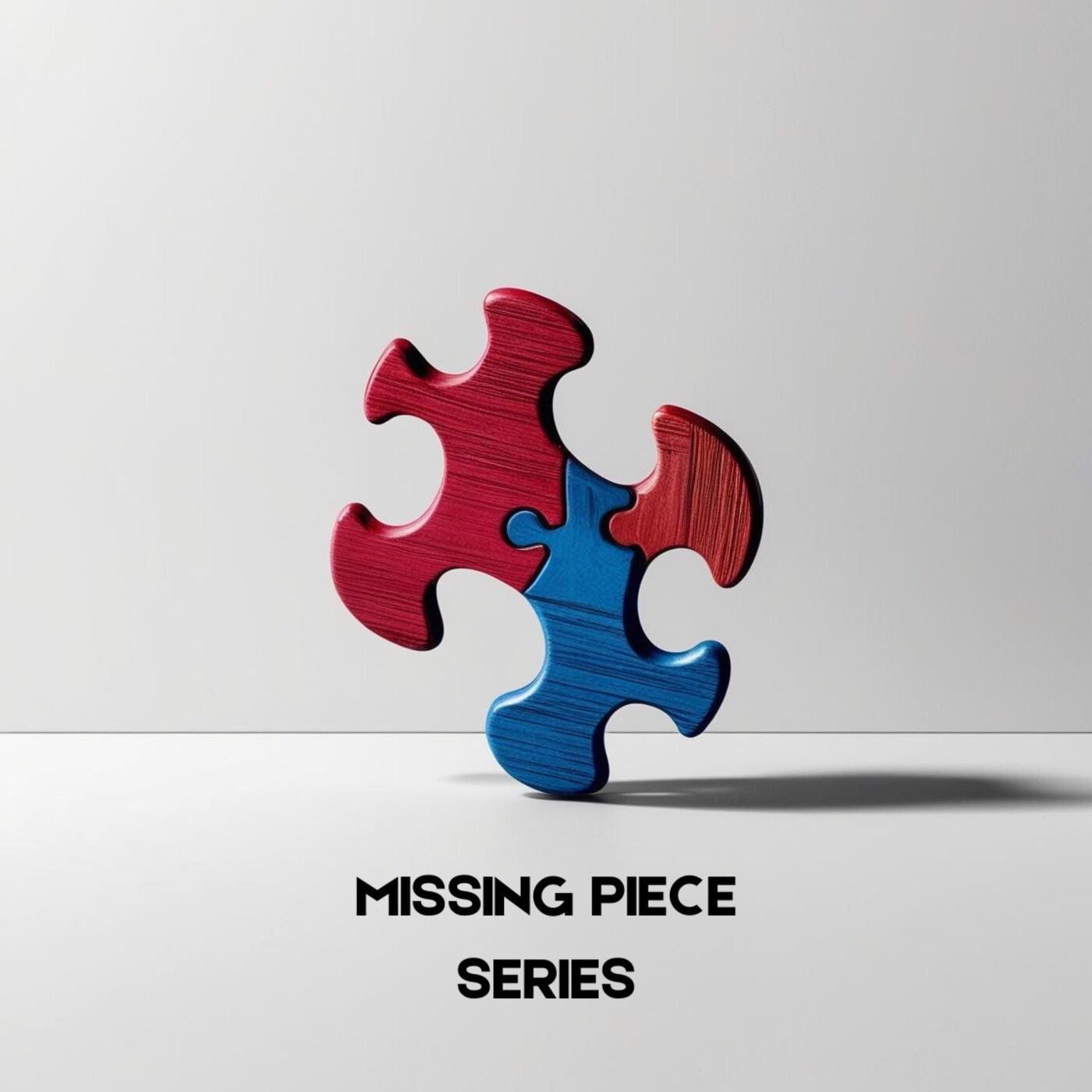 Missing Piece Series