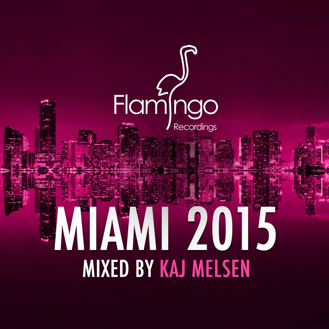Flamingo Miami 2015
