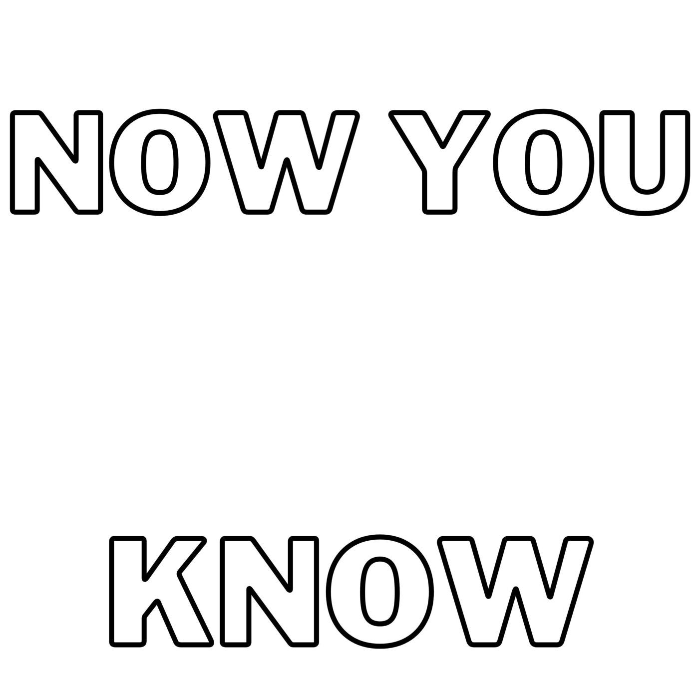 Cover art for Now You Know