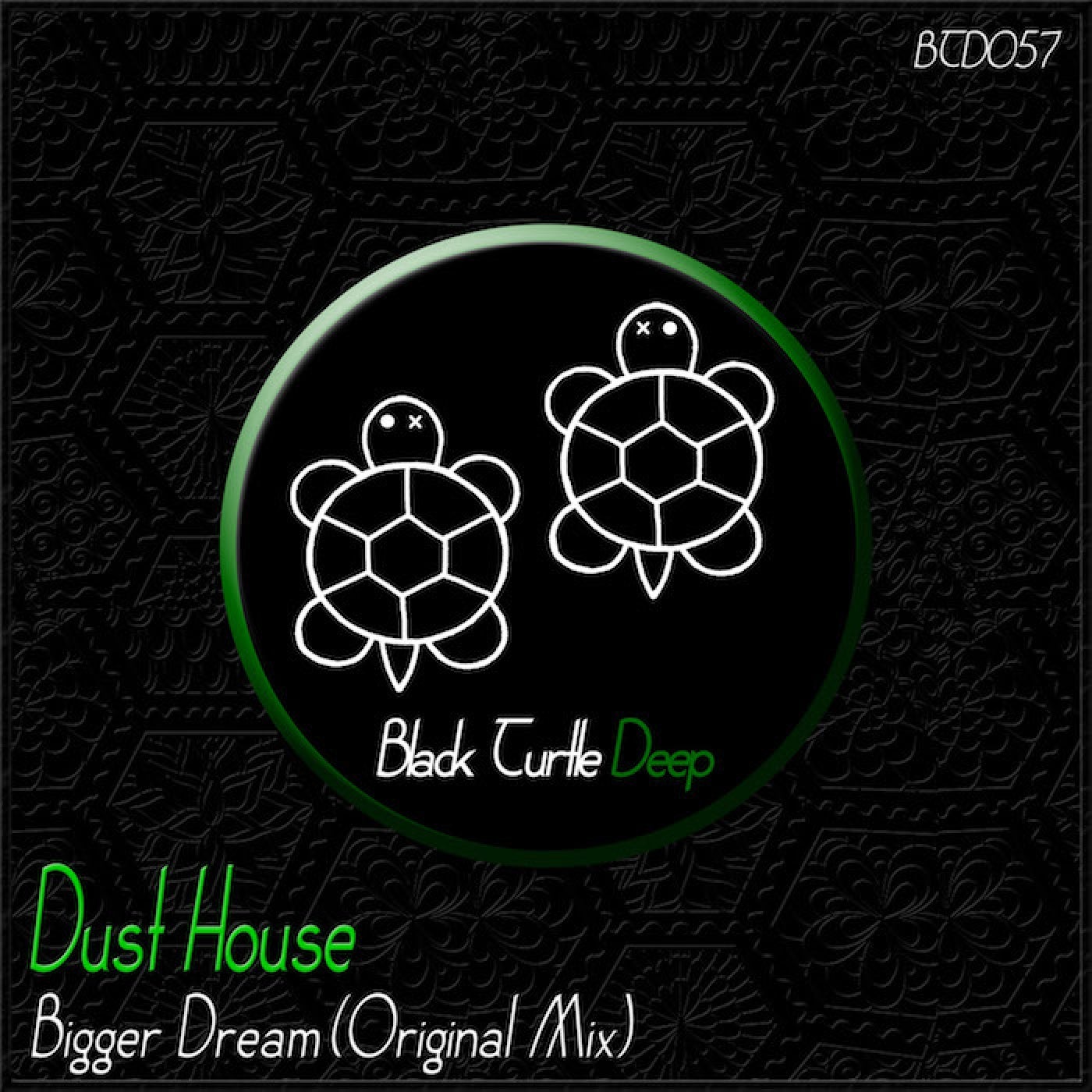 Bigger Dream (Original Mix)