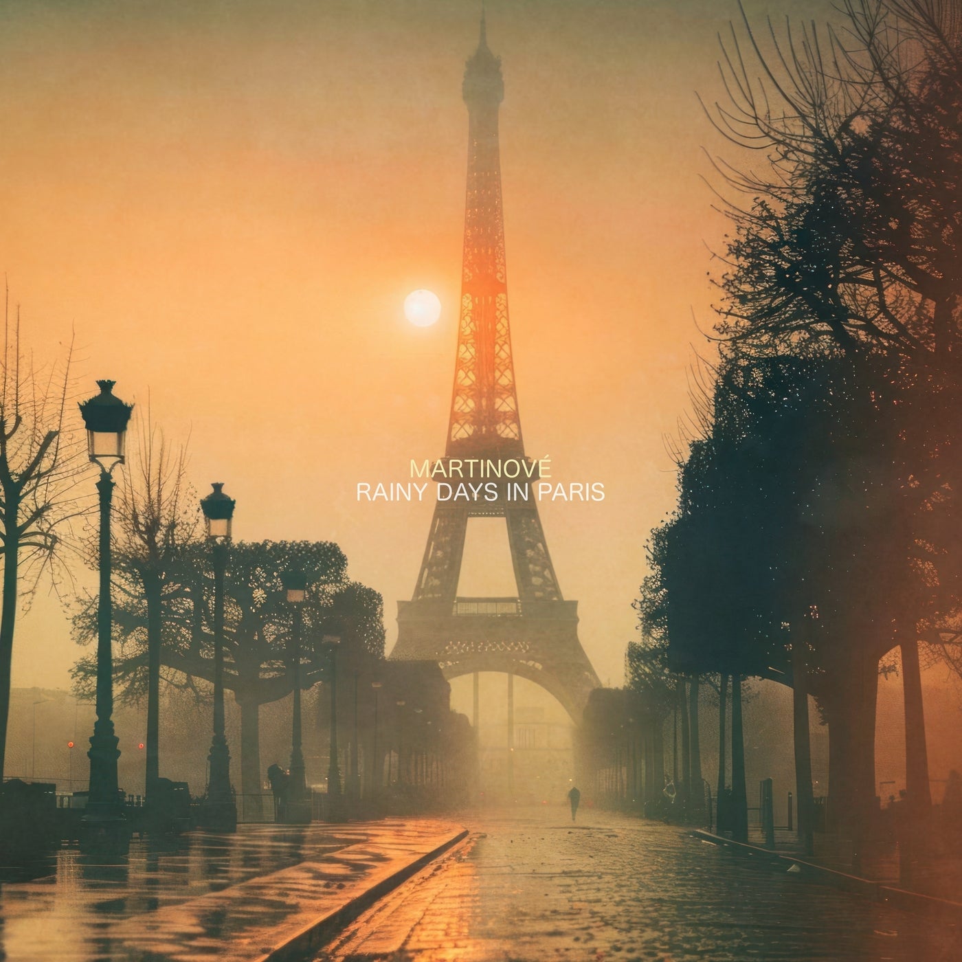 Rainy Days in Paris