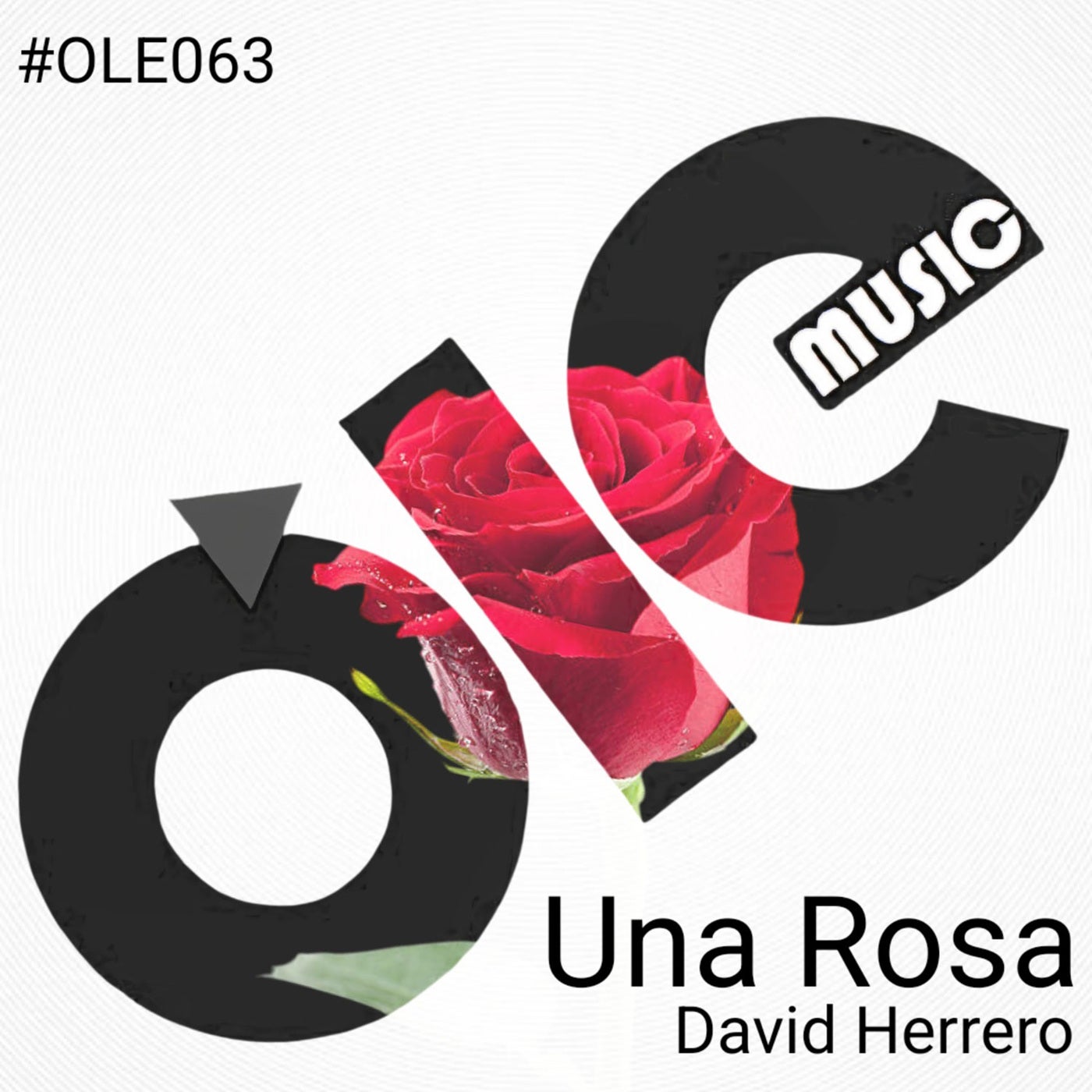Una Rosa