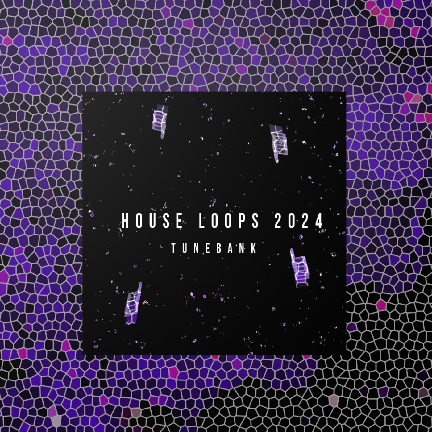 House Loops 2024