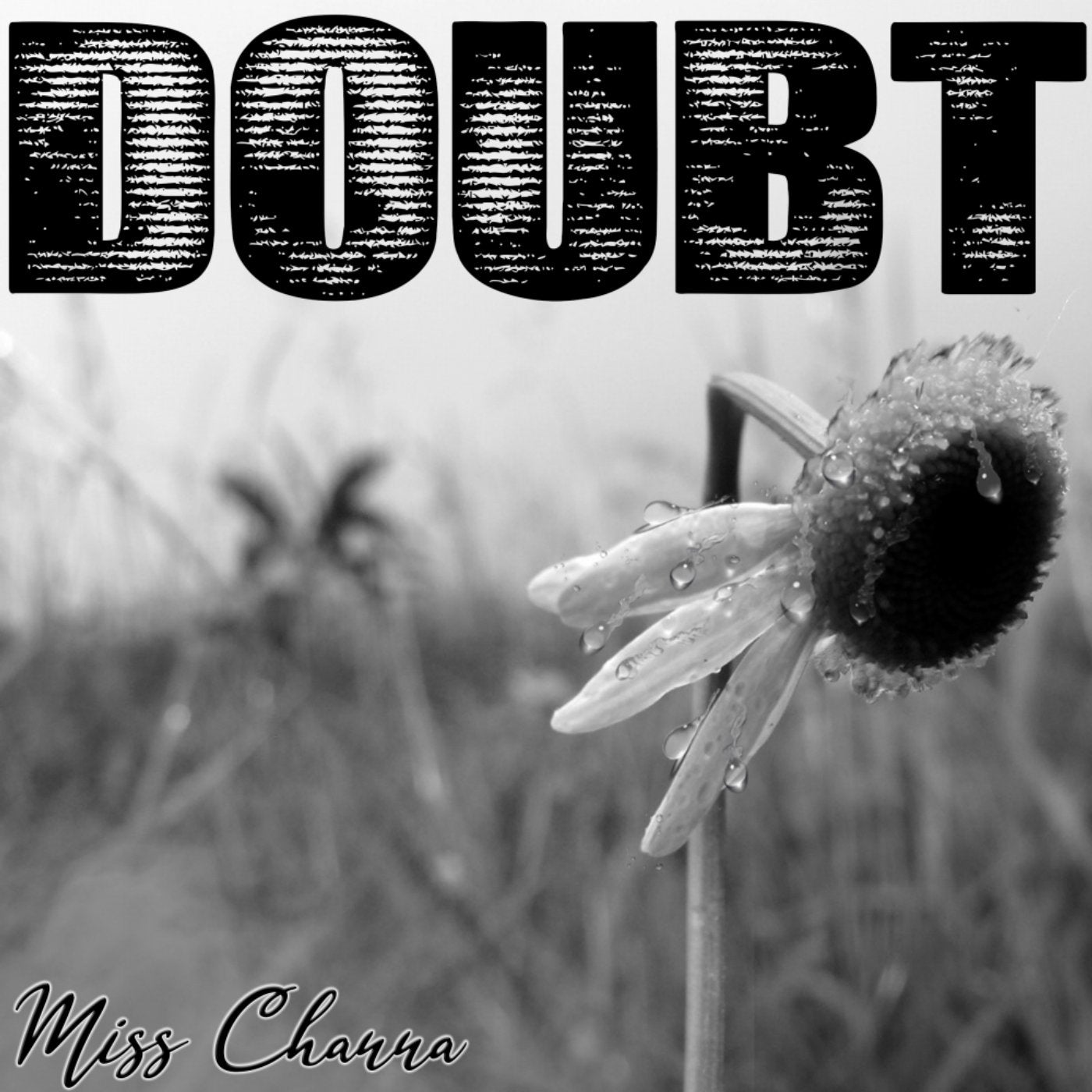 Doubt