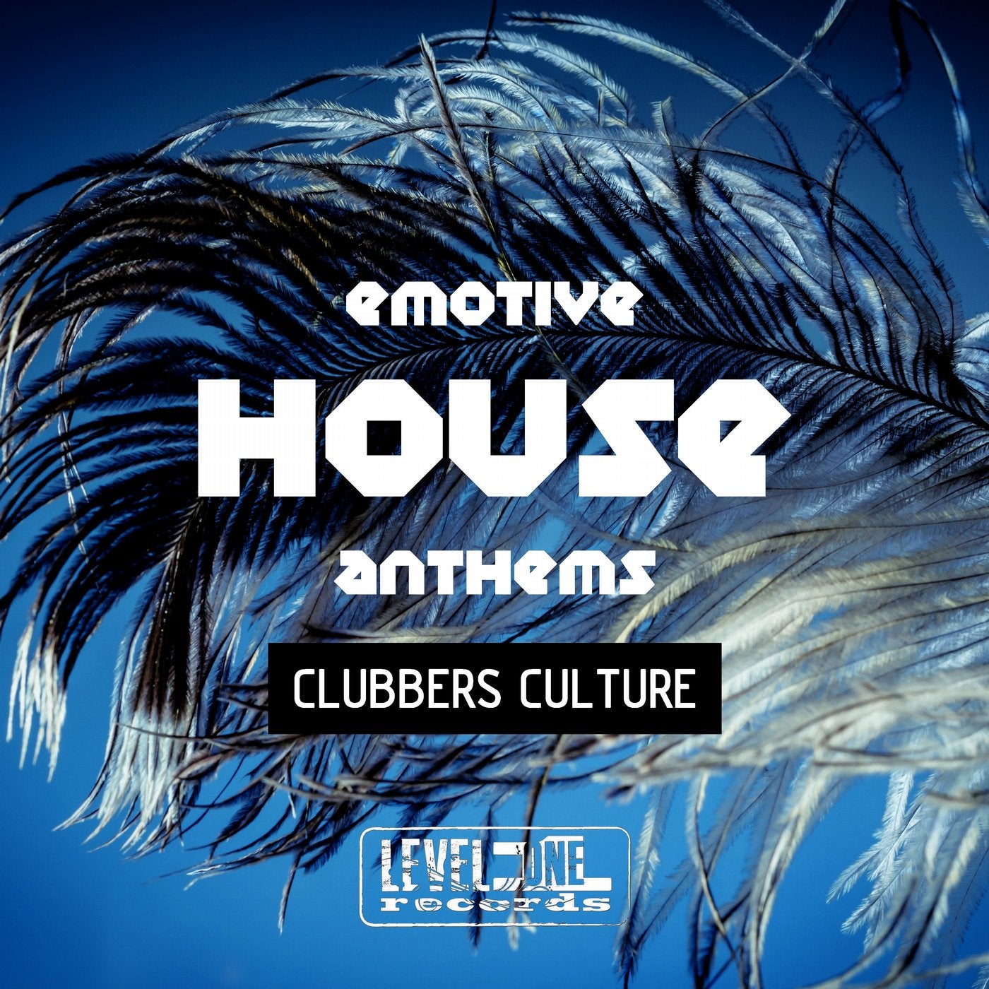 Emotive House Anthems (Clubbers Culture)