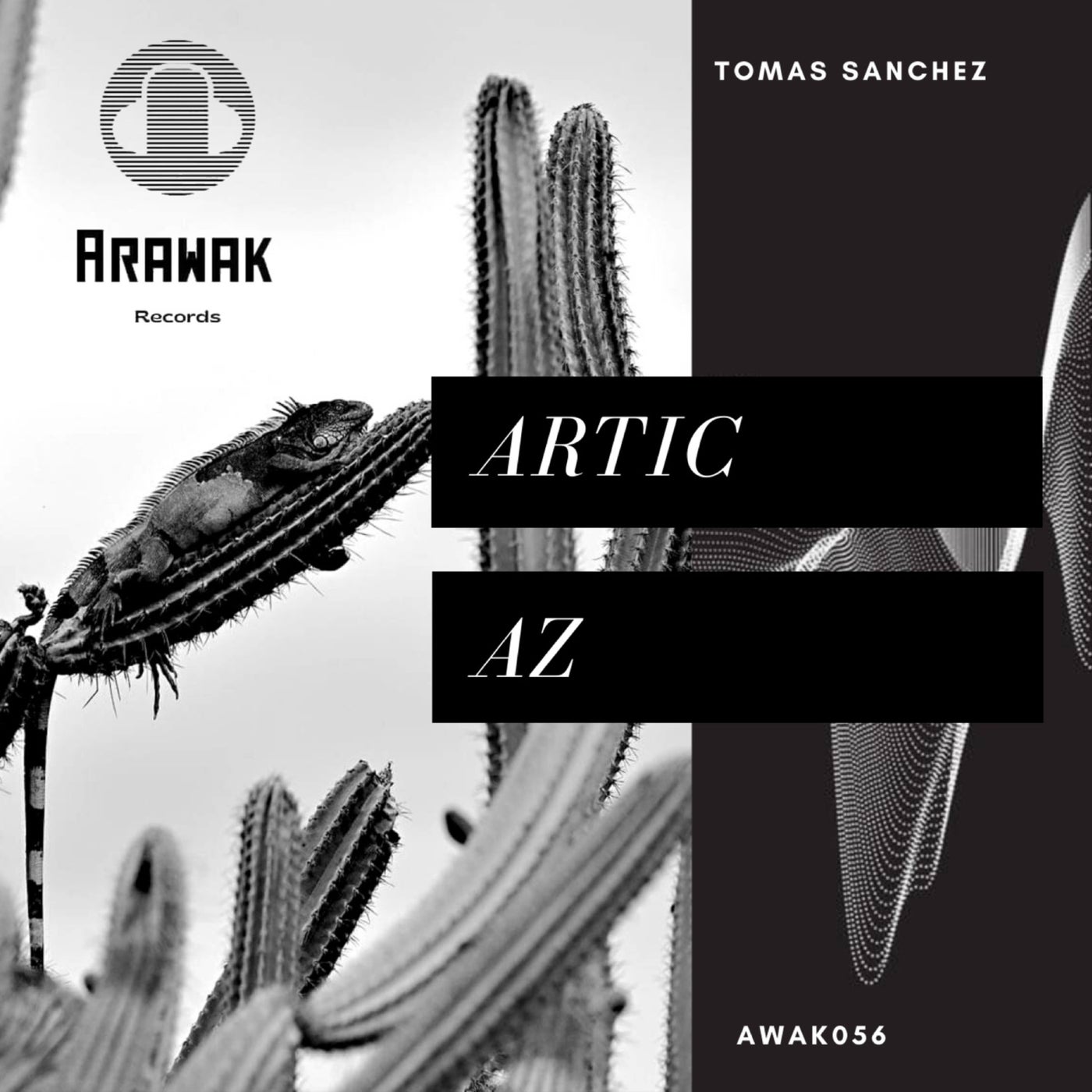 Artic AZ