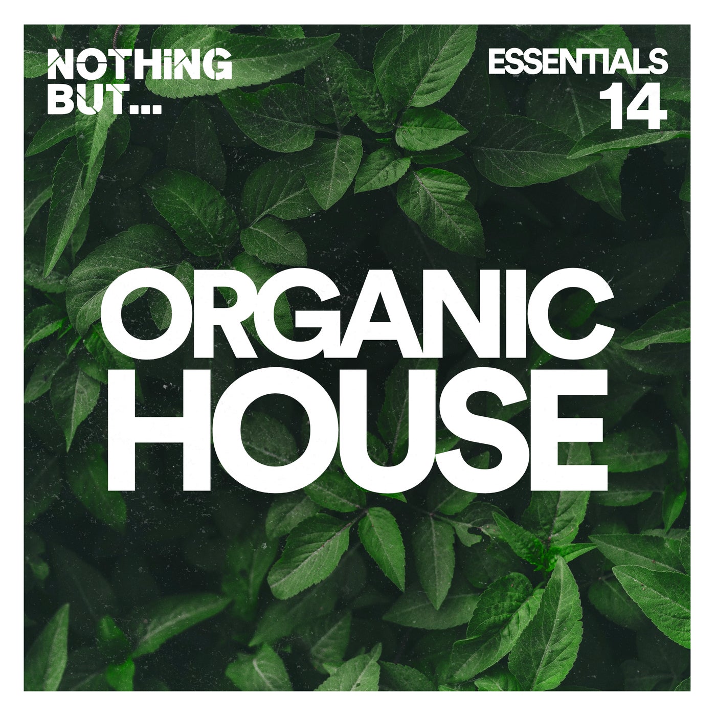 VA – Nothing But… Organic House Essentials, Vol. 14 NBOHE14 VA – Nothing But… Organic House Essentials, Vol. 14 NBOHE14