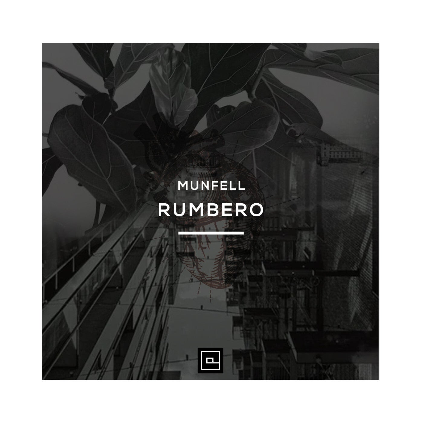 Rumbero