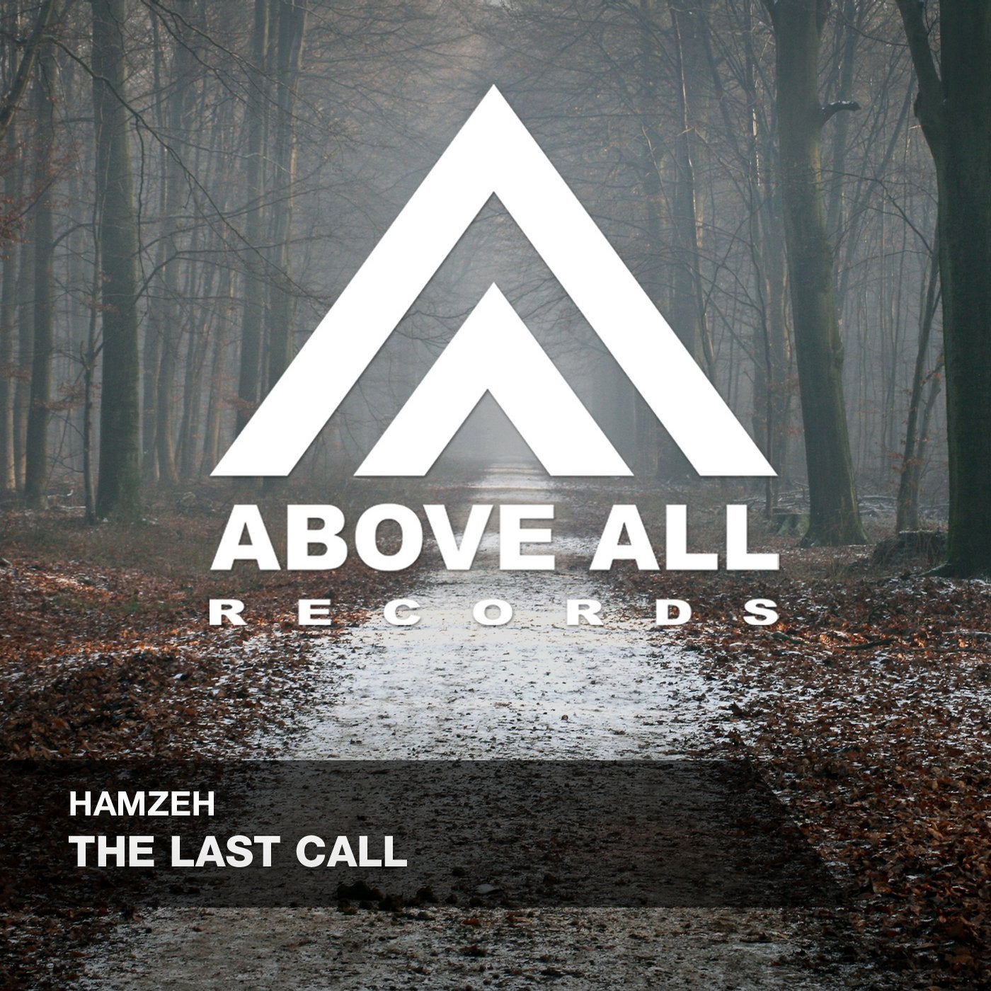 Calling from above. Last Call. Hamzeh Pirvand. Hamzeh Frostbite. Hamzeh feat. Ahmad ai serene.