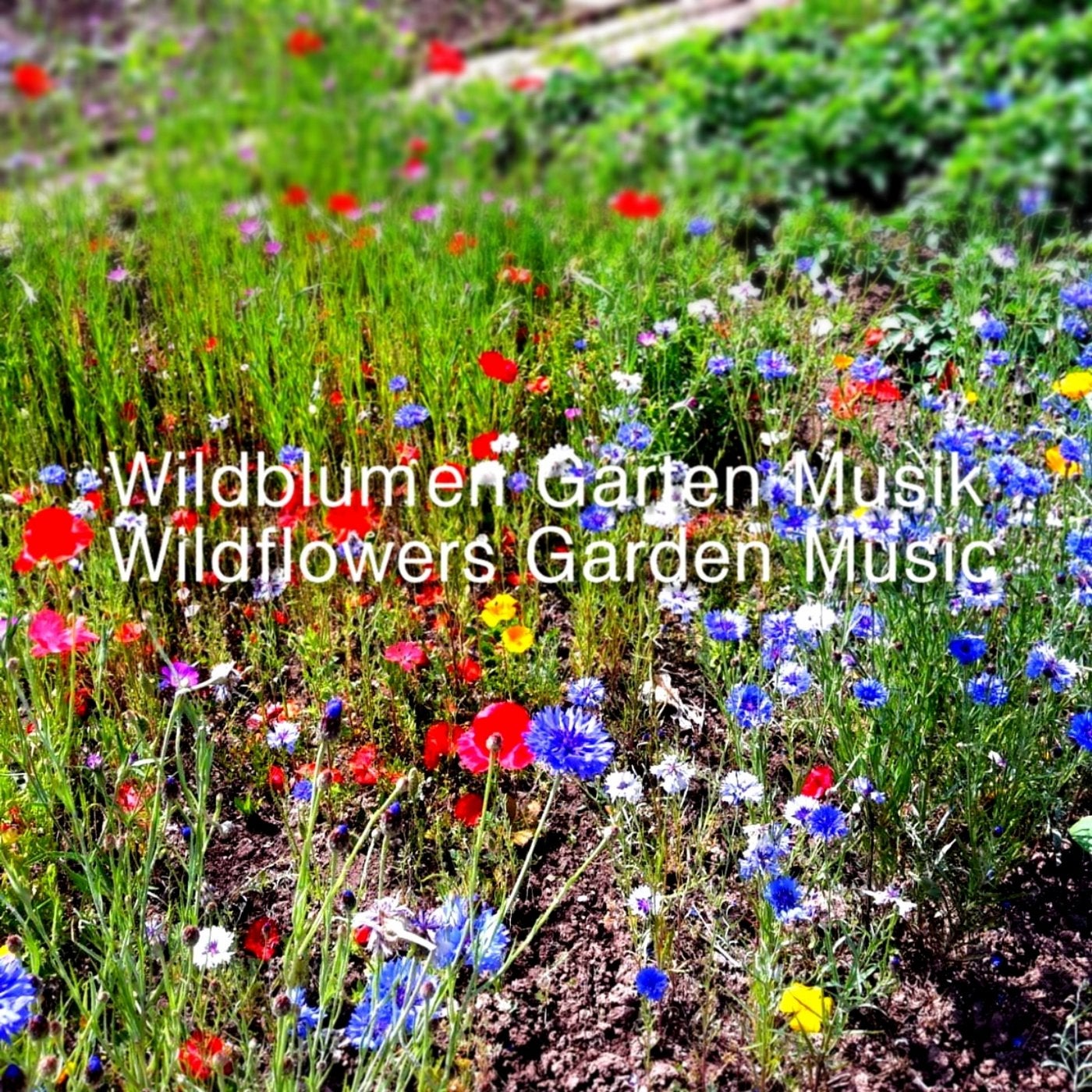 Wildflowers Garden Music