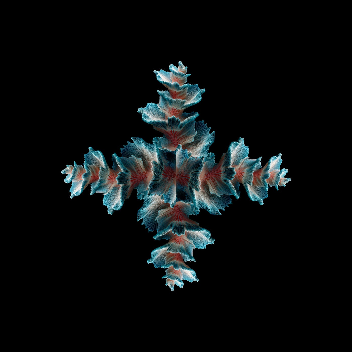Party Throw