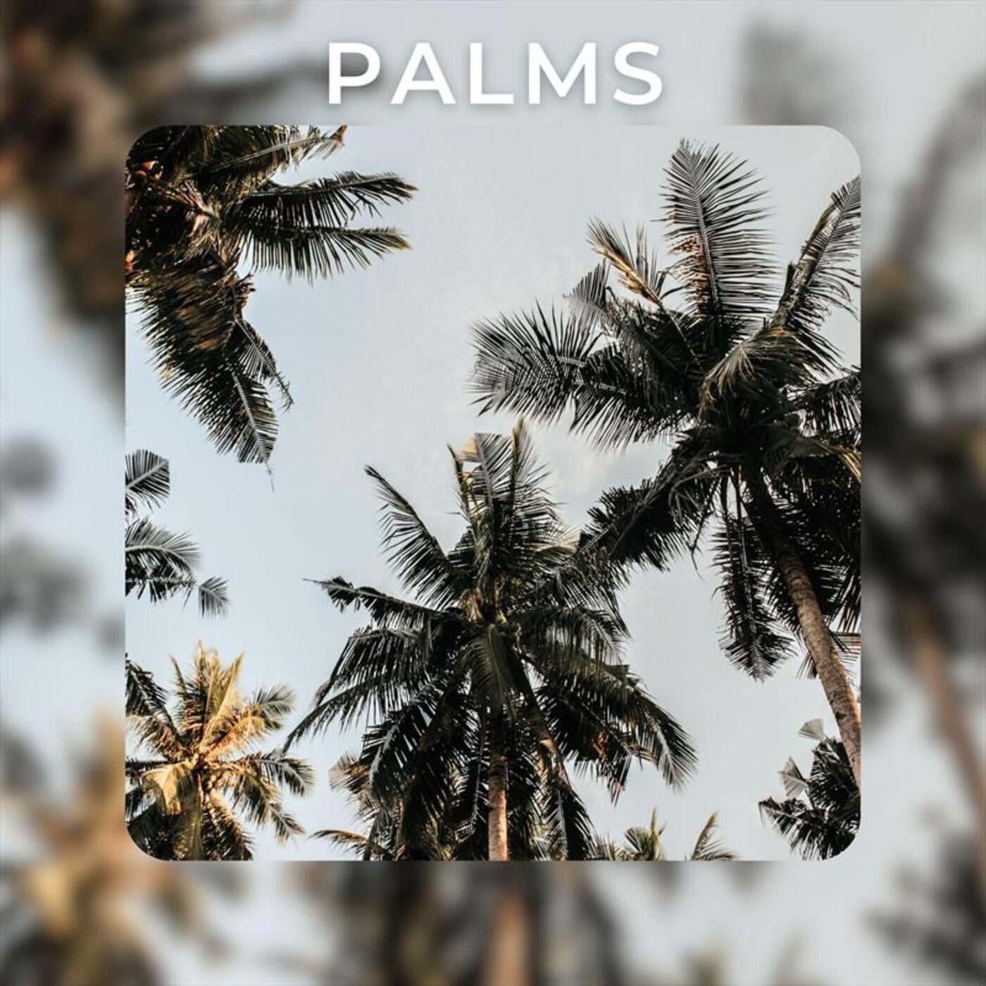 Palms