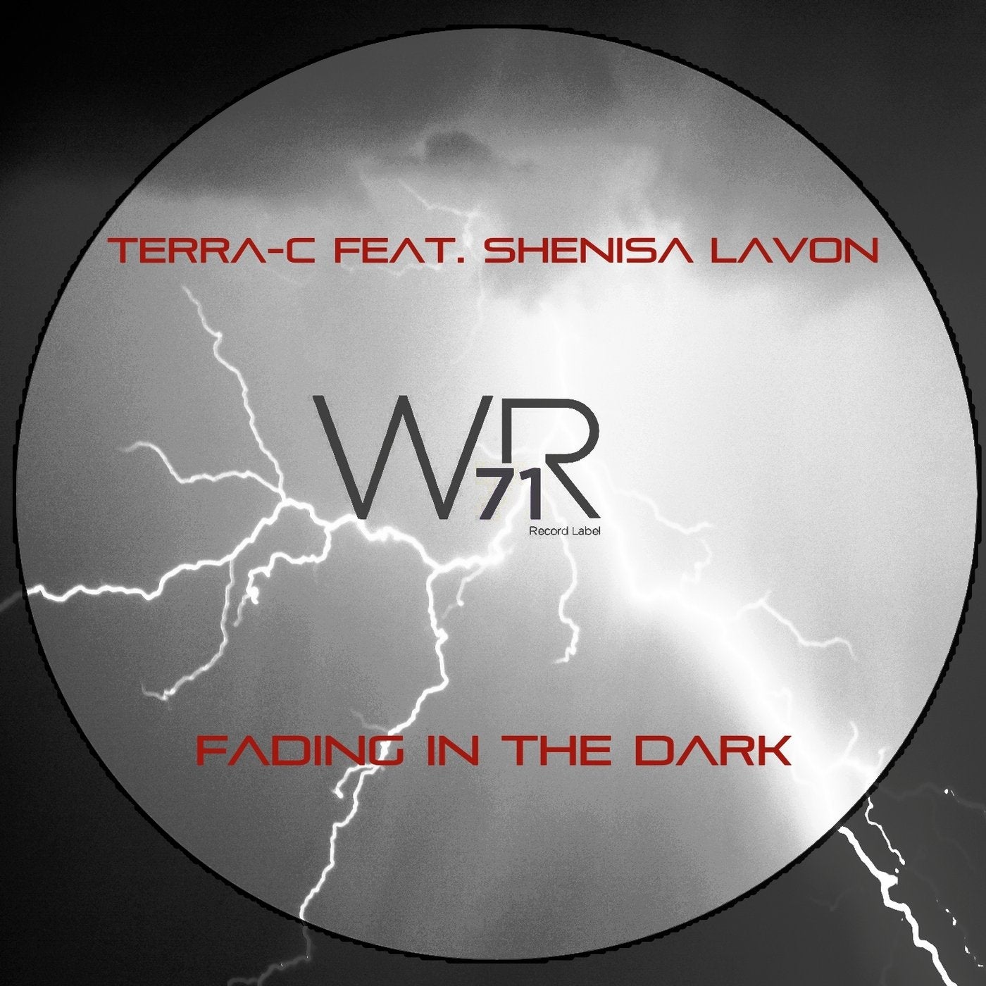 Fading in the Dark (feat. Shenisa Lavon)