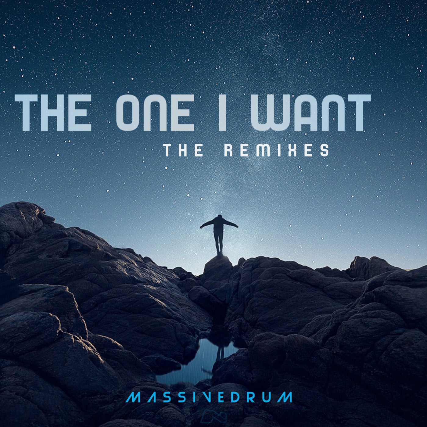 The One I Want (The Remixes)