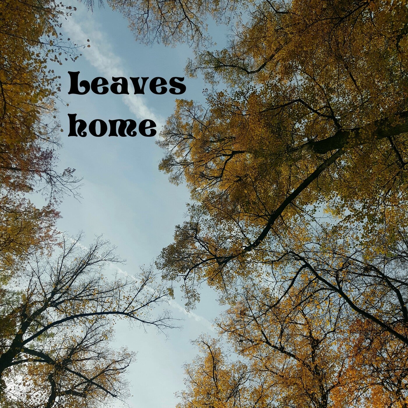 Leaves Home