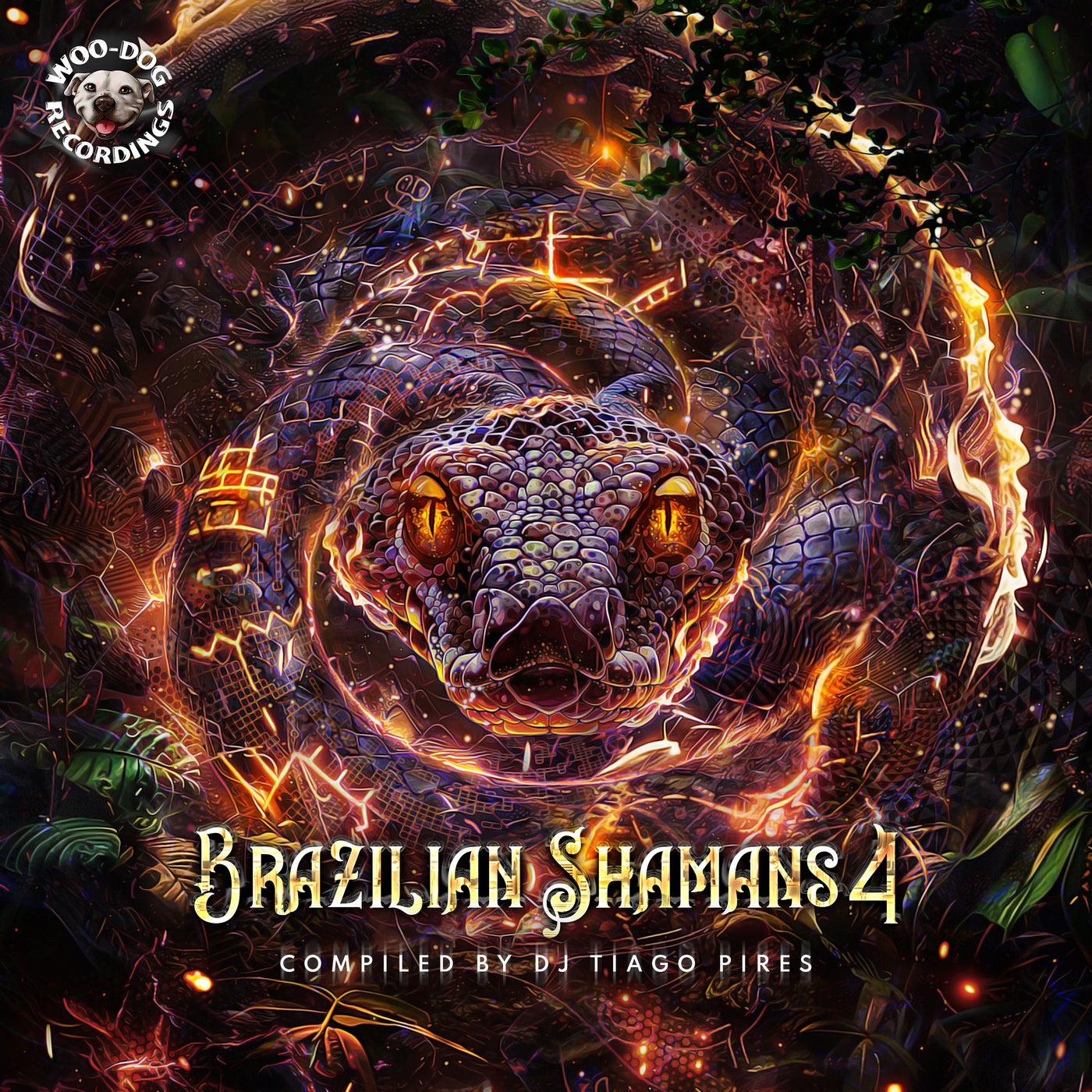 Brazilian Shamans 4 (Compiled by Tiago Pires)