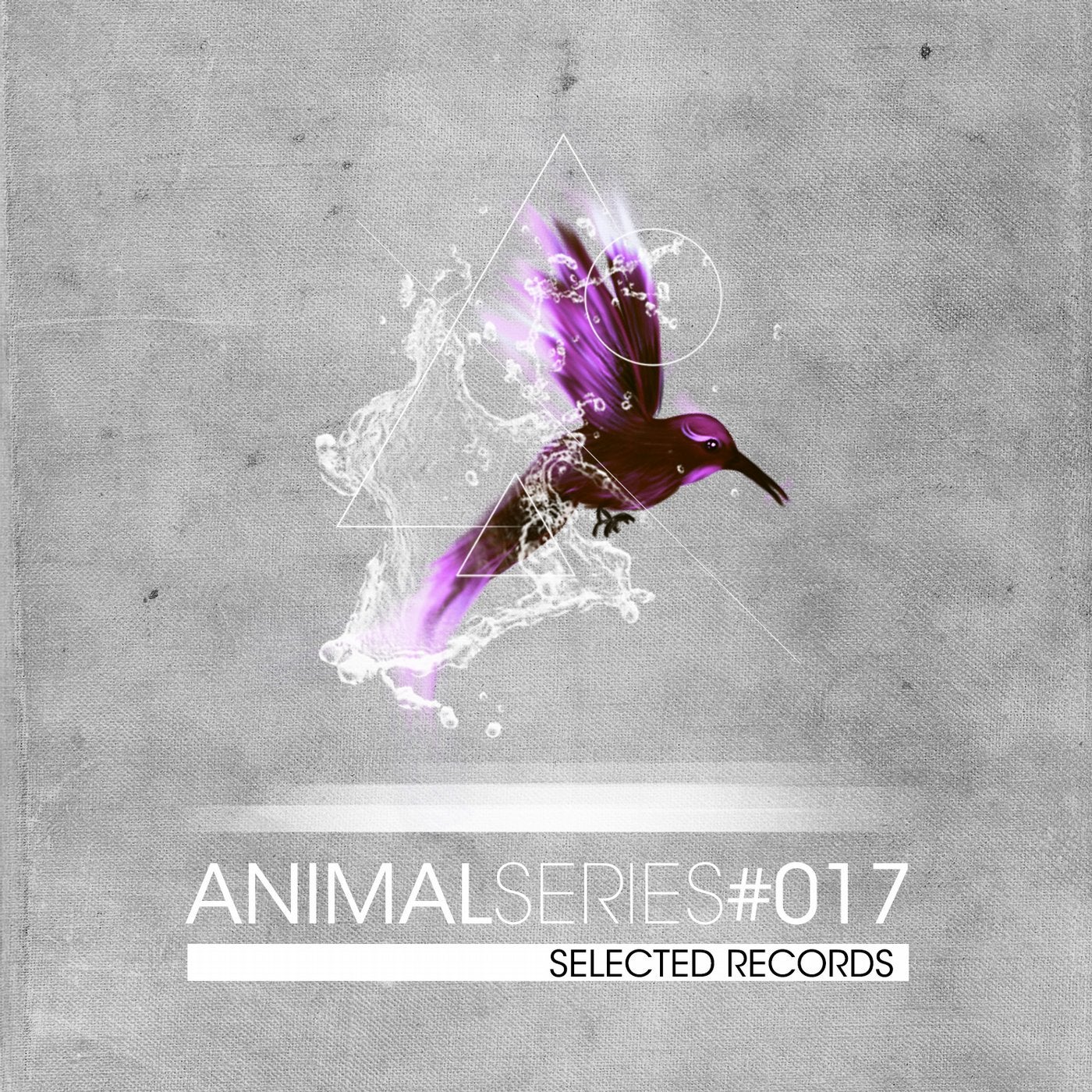 ANIMAL SERIES 017