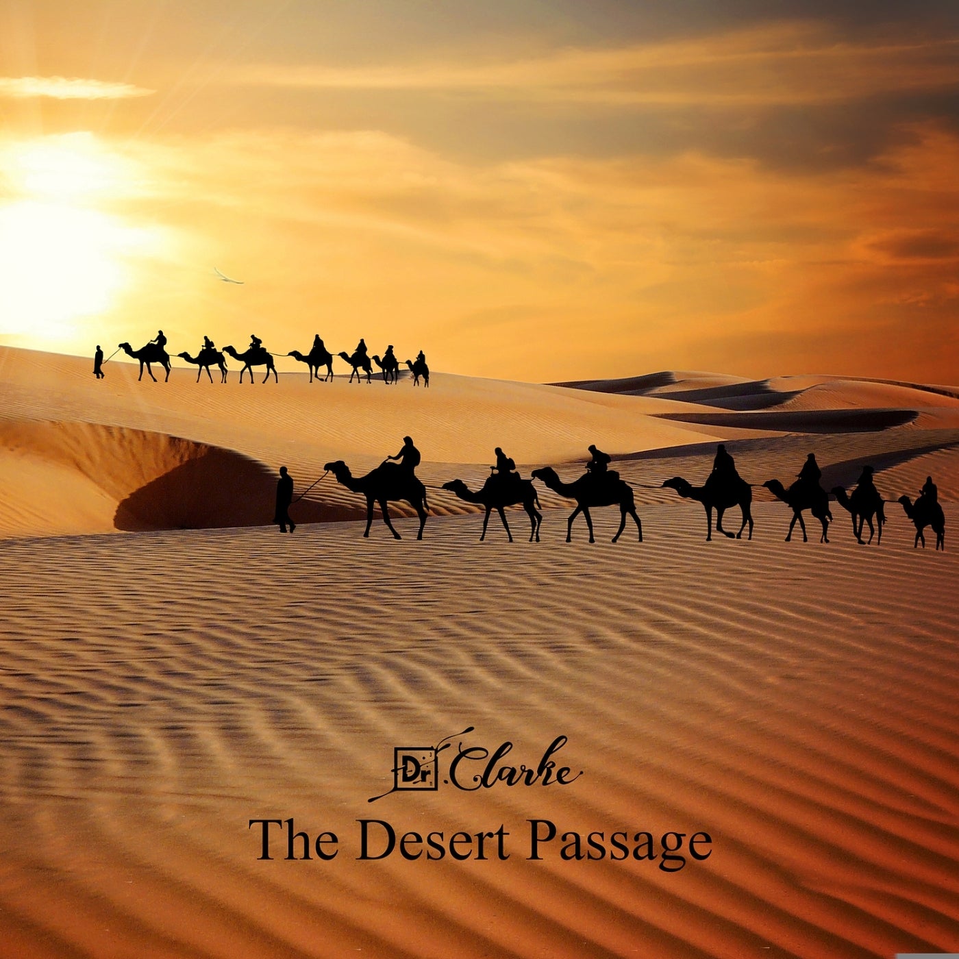 The Desert Passage