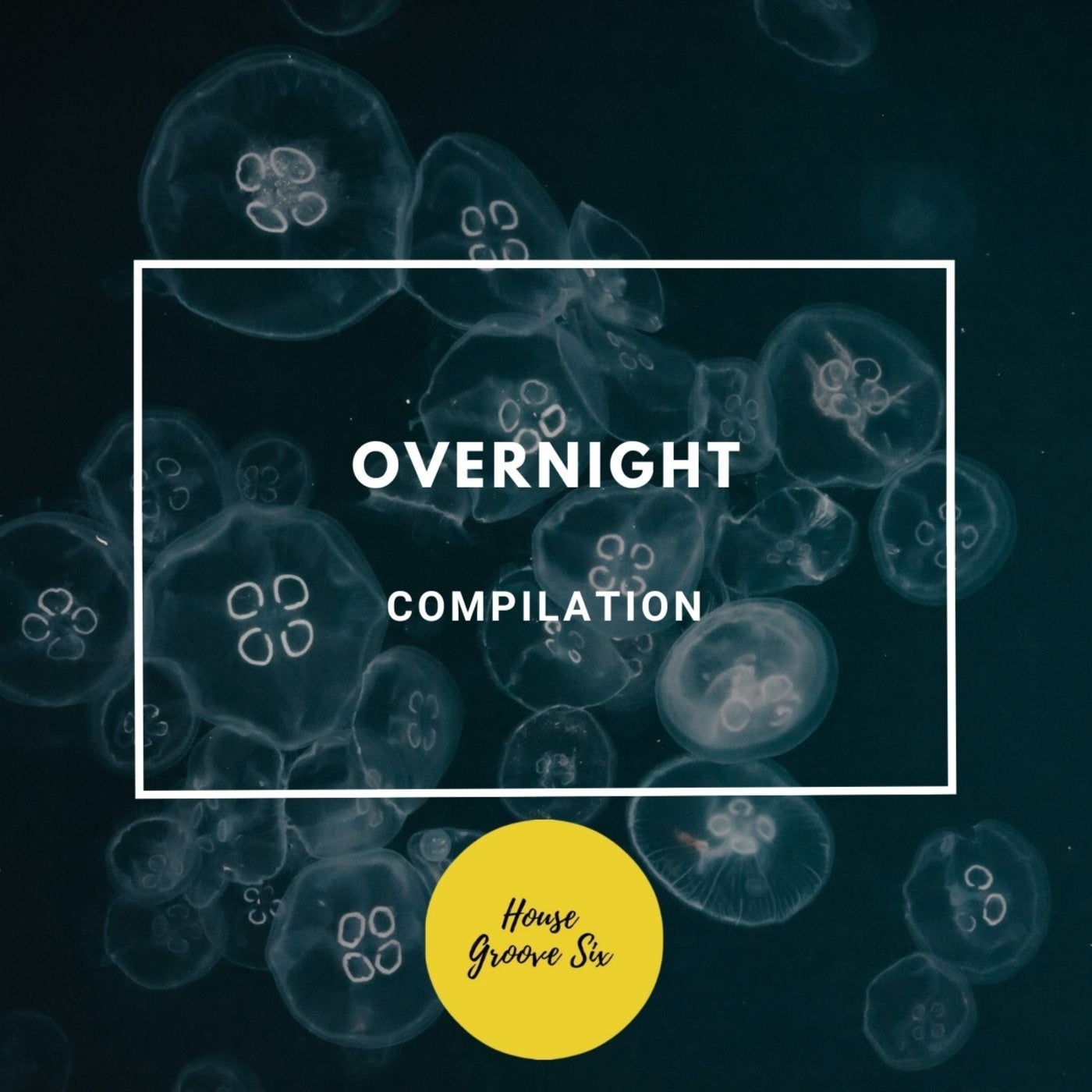 Overnight