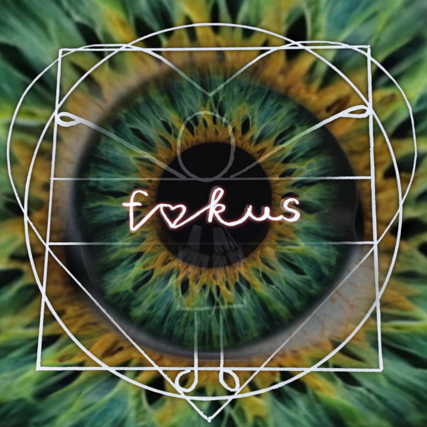 Fokus