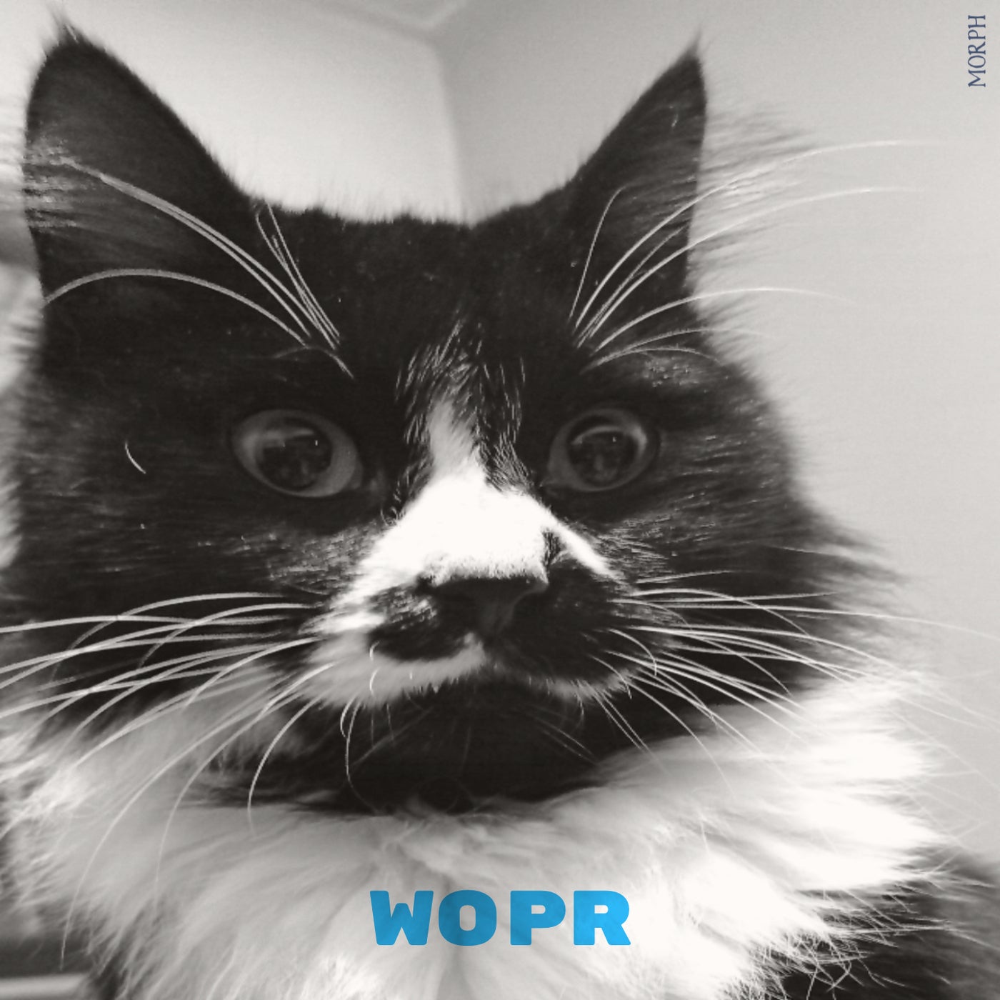 WOPR