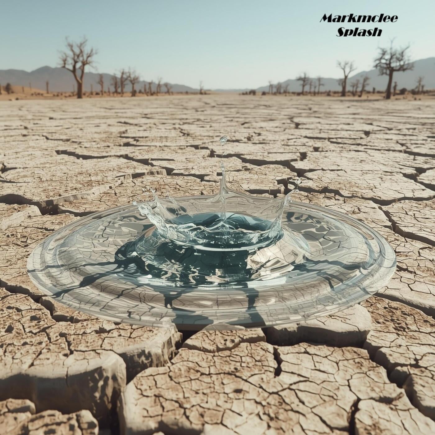 Cover art for Splash