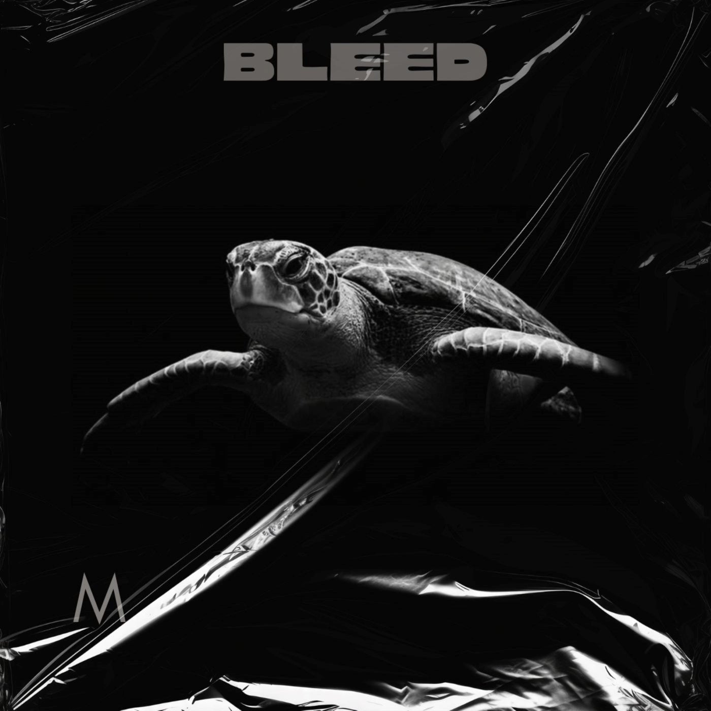 Bleed
